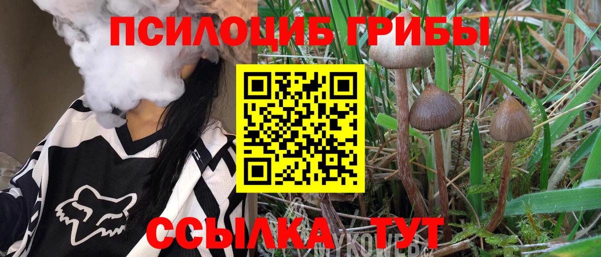 Псилоцибиновые грибы ЛСД  Галлюциногенные грибы мицелий  Вход с VPN  Елабуга 