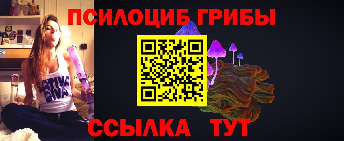 Псилоцибиновые грибы мицелий Елабуга